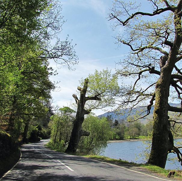 Rondje Lake District op 3-5-2012 (135).JPG